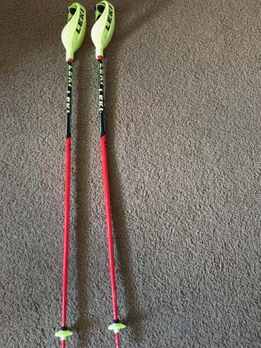 Leki Poles
