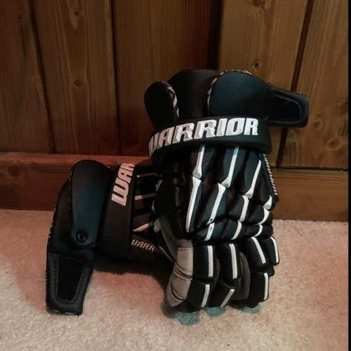 Warrior Regulator 2