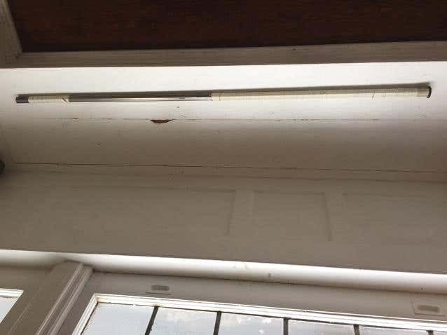 Warrior Titan Pro Defense Stick