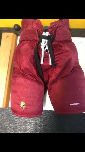 Game Used Ferris State Hockey Pants