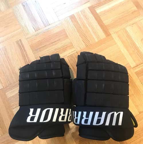 Warrior Franchise 2.0 15” Gloves - Used