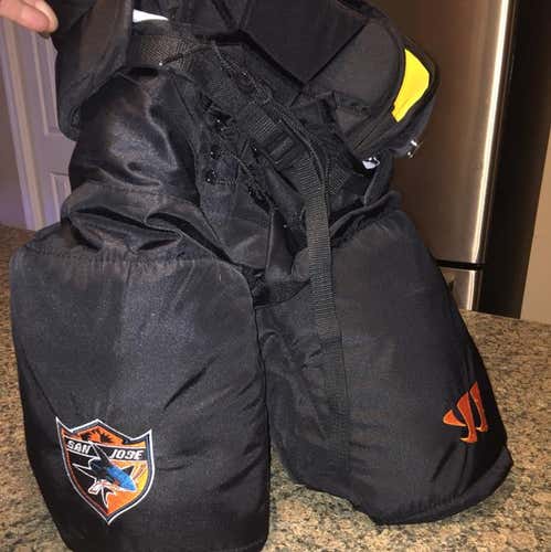Prostock Warrior Pants LRG