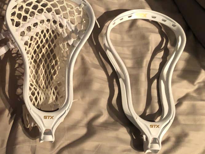 Stallion 700 For Someone