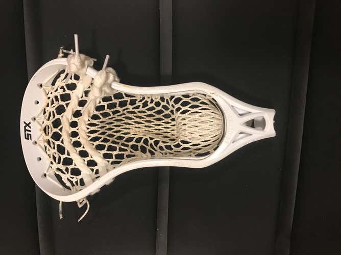 Stx Professor With Stringking Type 2x Mesh