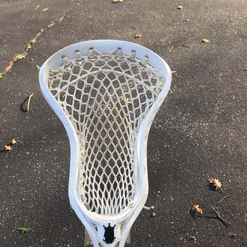 Used Brine Clutch Elite