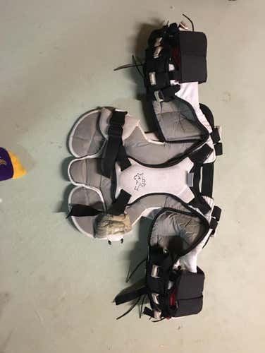 Goalie Chess Protecter