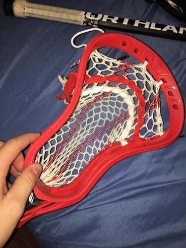 New Warrior Evo 5 Head