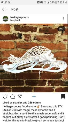 Stallion lacrosse pics I want