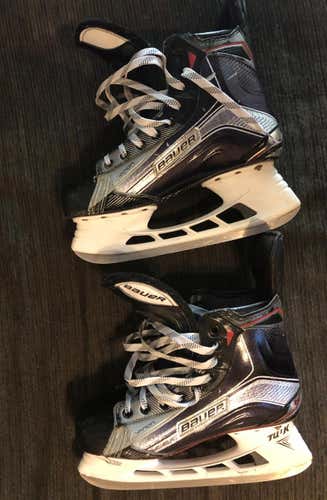 Bauer 1X Skates Senior Size 7D