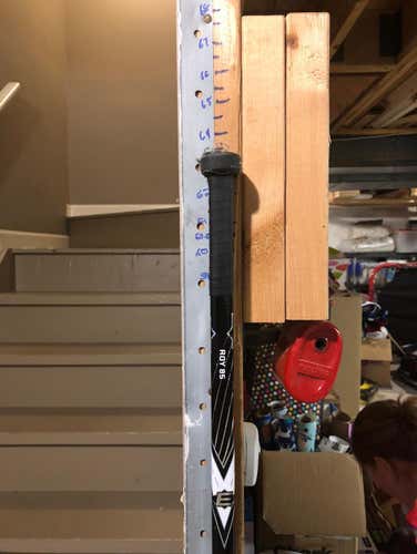 Easton S19 Left Hand 85 Flex Roy/Gaborik Curve