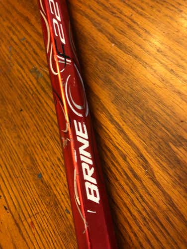 Brine D-pole (not Regular Long Pole Size, Meant For Younger Kids)