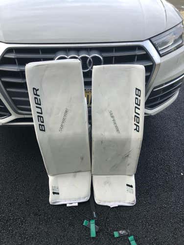 Bauer 1s Large