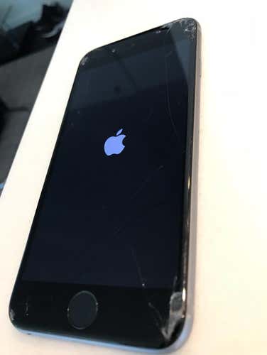 iPhone 6s. (64 GBs)