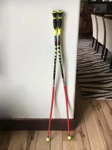 Leki World Cup Super G/Downhill poles with TBS