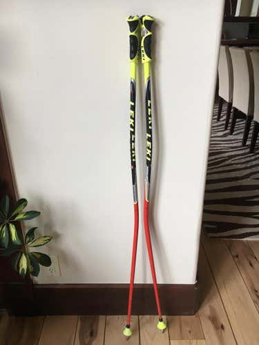 Leki World Cup GS TBS