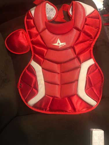 Leg Guards Face Mask Chest Guard