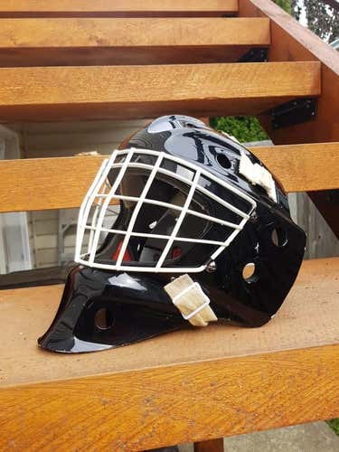 Itech NV-7 Goalie Mask Senior Custom Paint