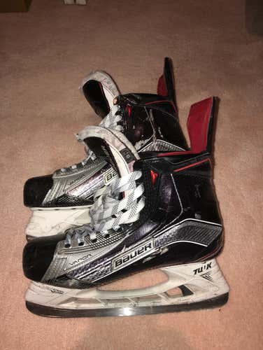 Bauer Vapor 1x Senior Skates