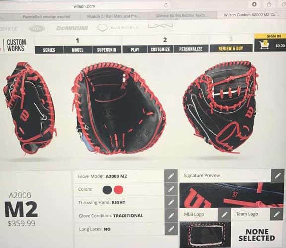 University Of Arizona custom Catchers Glove
