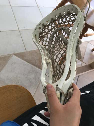 Lax Head