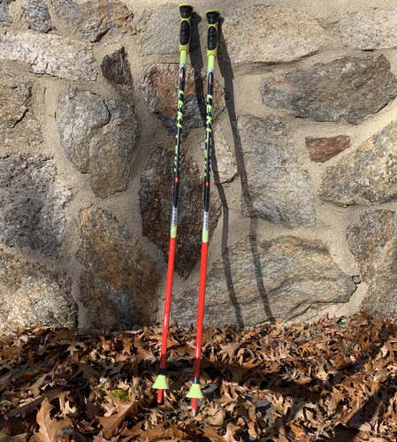 Leki GS - World Cup Poles