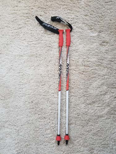 *NEW* Straight/Slalom Poles from Fizan - 100cm