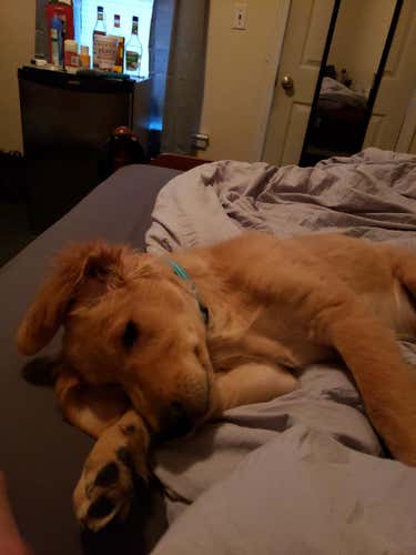 DEAL FOR SOUTHERN STRINGS ONLY