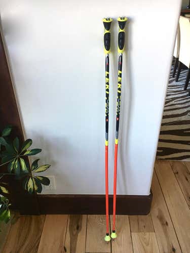 Leki GS - World Cup Poles