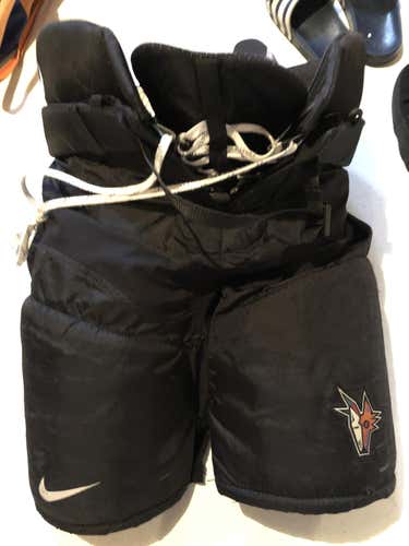 Phoenix Coyote Nike Pants