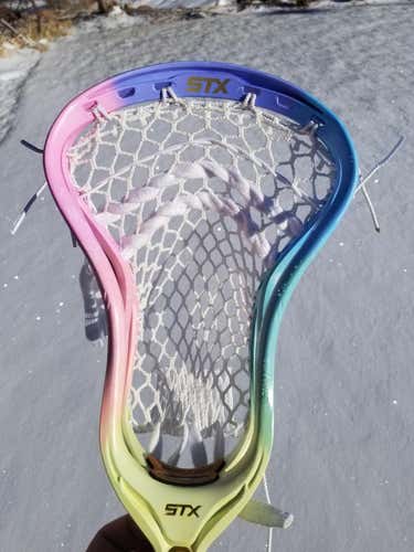 New Sherbet STX Stallion 700 Head