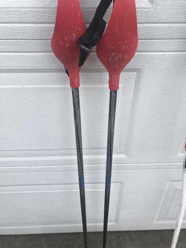 K2 Poles with slalom gaurds