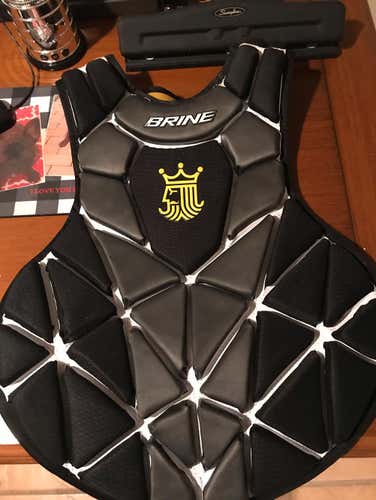 Brine Eraser 2 Chest Protector (large)