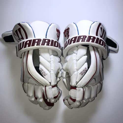 Warrior Evo Gloves (12”)