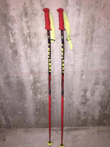 Fischer World Cup Poles, Great Condition, Race Poles