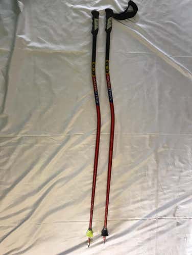 Salomon Skii Racing Pole- Size 46”