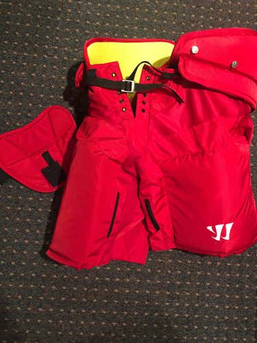 CAROLINA Stock Franchise Pants- LG- New