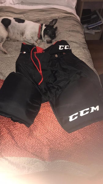 CCM Sr. Small Black & Red Used Hockey Pants