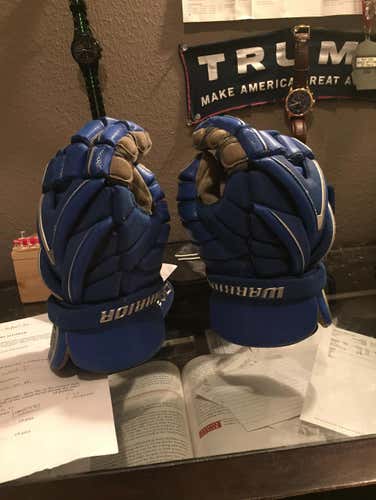 Great Shape Warrior Evo Gloves