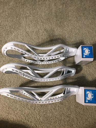 BN East Coast Dyes Rebel Offense Unstrung