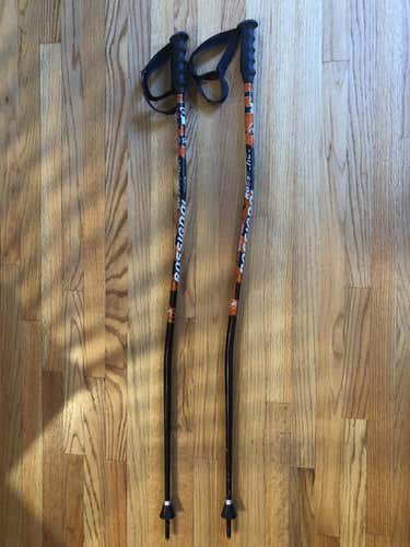 Rossignol Poles