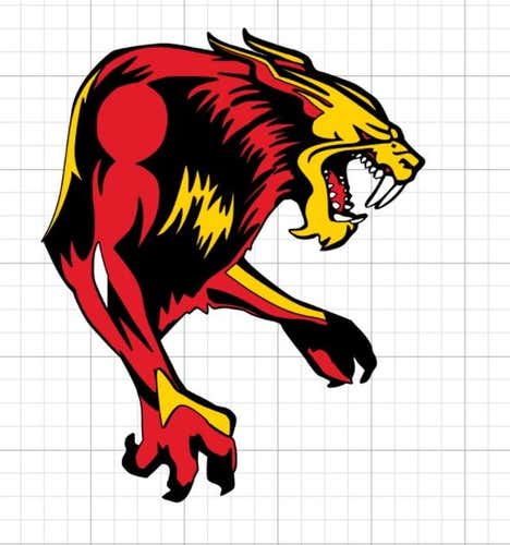 Custom Goalie Mask Decals (VDL / RB)