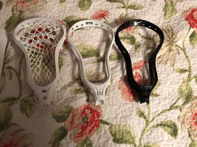 Elite 10, Lakota, Stallion 500