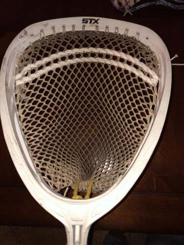 Stx Shield