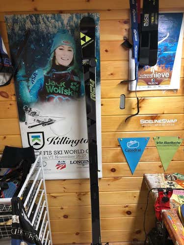 Fischer World Cup GS Skis 195 I Have 2 Pairs I Will Sell