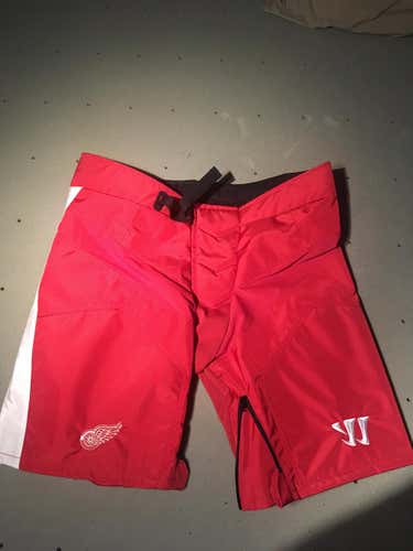 Detroit RedWings Shell