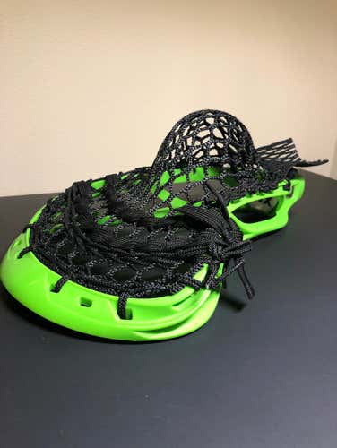 Stx Stallion With Black Stringking 2x