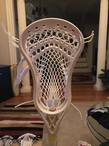 New Signature Contract Head