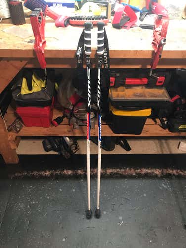 Swix WC Pro Jr GS Poles
