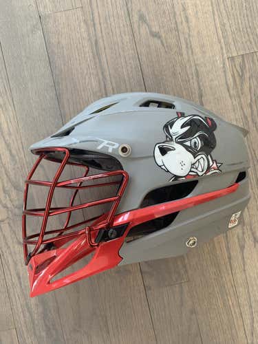 Boston University Cascade R Helmet Helmet Adult