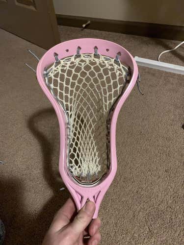 Pink STX professor